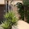 Serene mountain views Spacious garden and sole use of the 10x5m pool - فورتونا