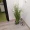 Apartament Denisa
