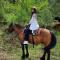 Katun Mokra accommodation & horseback riding - Подгорица