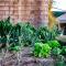 The Aloes Farm - The Studio & The Gallery