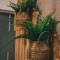 APARTASUITES 21 A