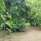 Clarissa Falls Resort