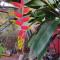 Hostel Trem Di Durmi