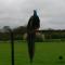 Farmhouse: Beautiful rural location. London from 60 minutes.