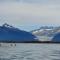 Glacier Guest Room - PRIVATE ROOM IN SHARED HOUSE REDUCED PRICE ON TOURS