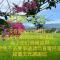 Sweetlight B&B