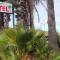 Foundry Palms Motel Foundry Palms Motel