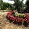 Apartments Anica