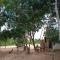 Refúgio Raiz Camping