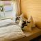 Irenes Tinyhouse