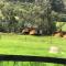 Glamping la Cumbre