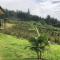 Glamping la Cumbre
