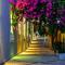 Blue Dreams Resort Bodrum - Aquapark & Ultra All Inclusive