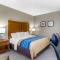 Comfort Inn Ottawa