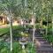 Olive Branch Cottage off grid