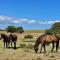 Heron Cottage - Living The Breede