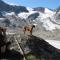 Haus Puit Mandarfen Pitztal