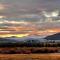 Mountain Meadows 302