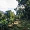 Finca Cuipo