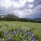 2 King Studio Unit in the Base Area condo - Crested Butte