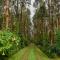 Coffee Grove Resort