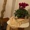 Cozy and comfortable apartment in Athens Center - Atény