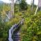 Wild Pacific Guest Suites - Ucluelet