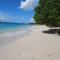 Location vacances Fun sous les gommiers