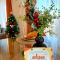 Apartament Central "Casa DAlba"