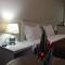 Jorjadze street 23