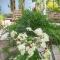 Nanda View Cottage