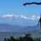 Nanda View Cottage - Almora