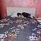 Apartman -HARMONY-