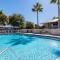 Come Stay Where the Dolphins Play!