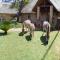 La Barune Game Lodge - Vaalwater