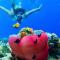 Thari Fushi Luxury Maldives -All Excursions Included -