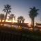 The Summer Haven