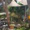 The Summer Haven