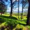 Wheal Tor Hotel & Glamping