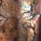 Treehouse Holidays-Love Nest