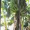 Self Catering Unit , Sandbaai