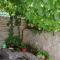 Apartment Andrija