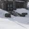 The Lions Lair Lodge