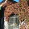 B&B Leon dOro
