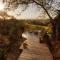 Amani Safari Camp