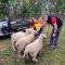 Bastle Retreats Cabin with hot tub