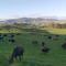 Maungatautari Outlook Cambridge