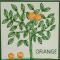 Casa Monte Cristo Apartments - Orange