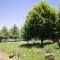 Downstream - Dullstroom