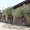 Apartment La Tartufaia-4 by Interhome
